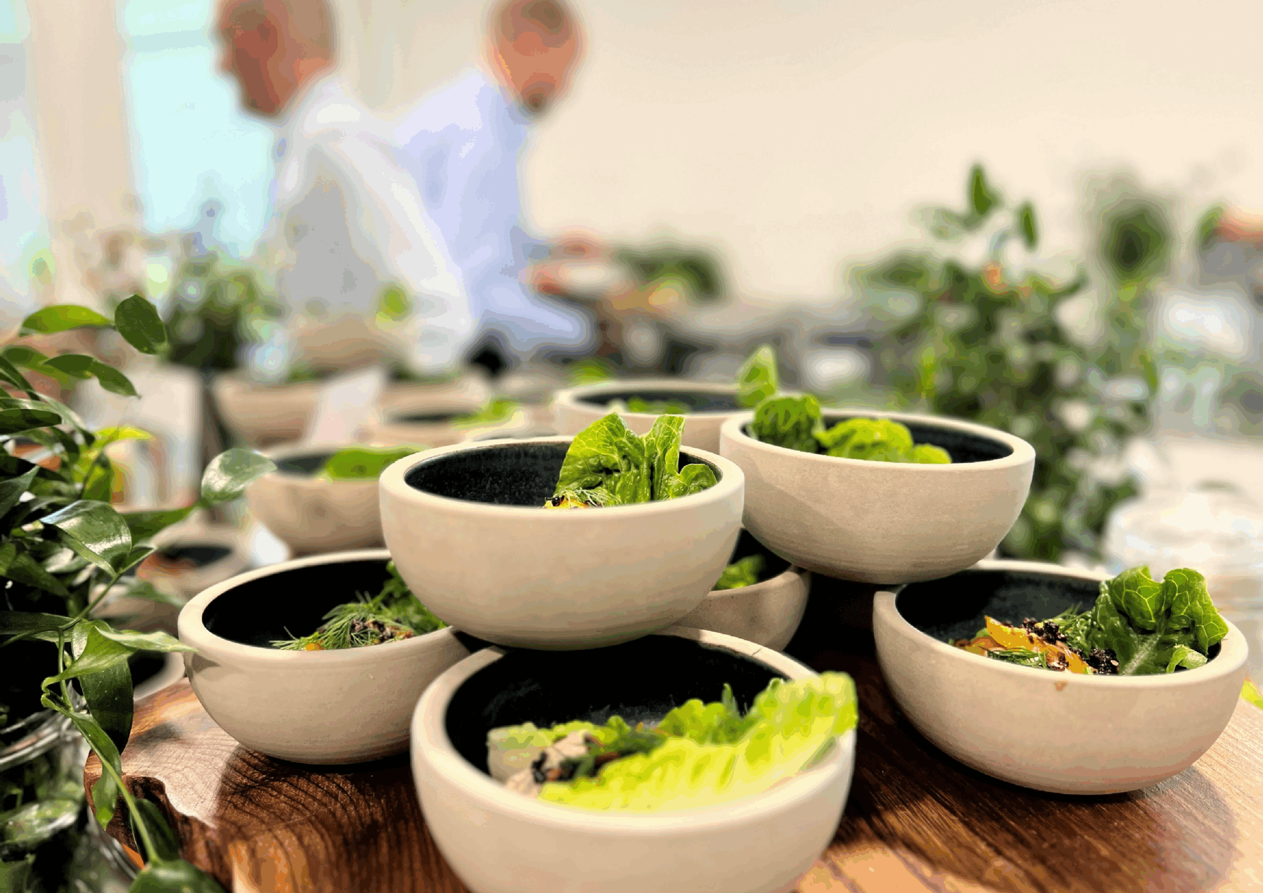 Skåle med grønt kantine