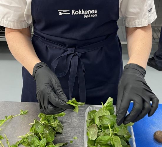 Madanretning Kokkenes Køkken